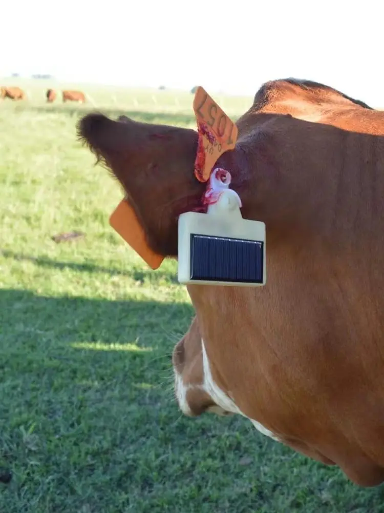 

Solar Energy Power GPS Animal Cattle Ear Tag Tracker TBT300 Pet Sheep Animal Track Cattle Pasture Finder Solar Locator Ear Tag