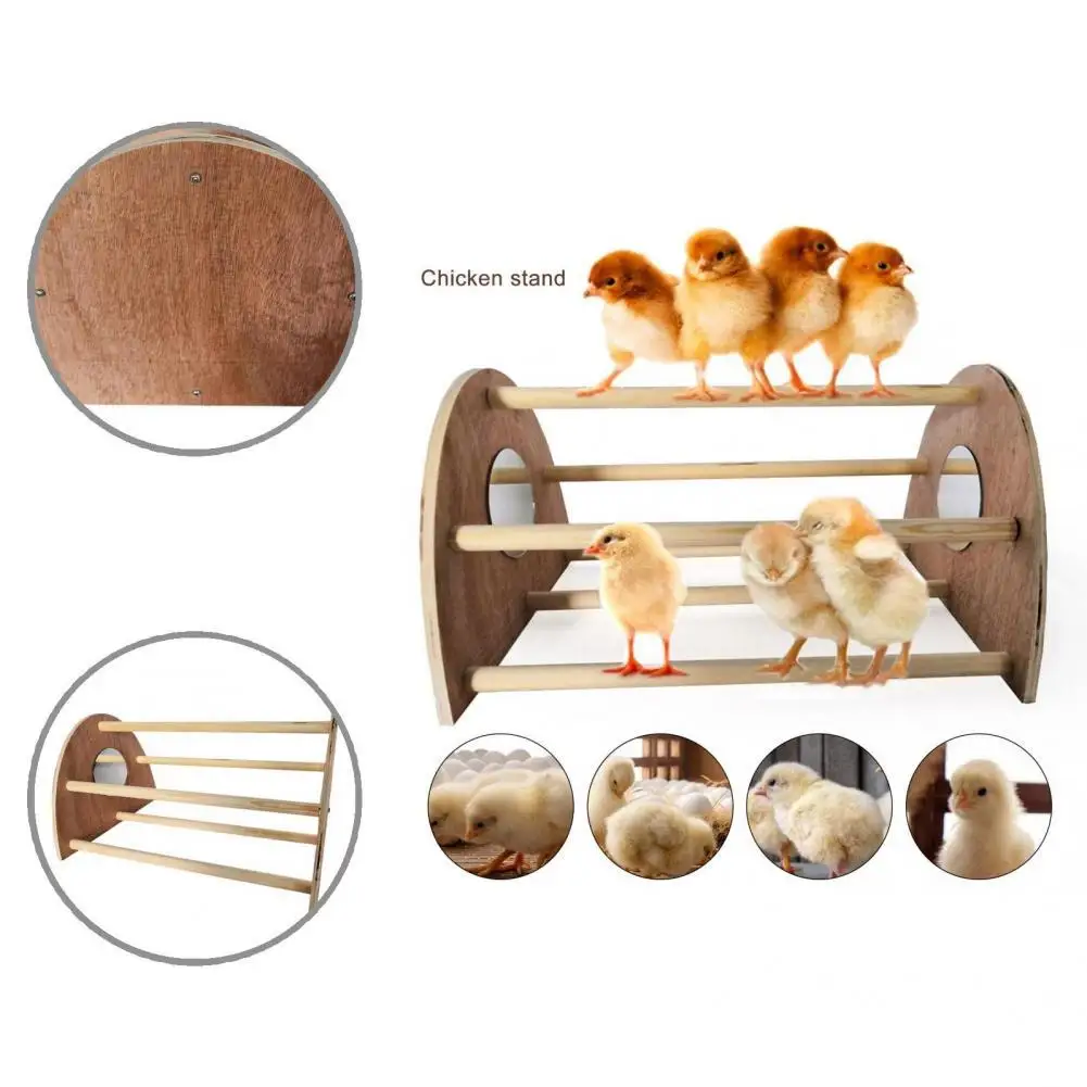 

Безопасная игрушка для куриного окуня, игрушка для курицы, многофункциональная простая установка