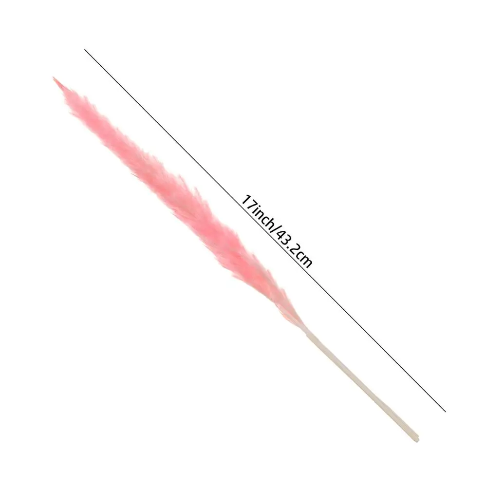 

30pcs Reed Natural Dried Bouquets Colorful Plant Stems Real Flower Romantic Wedding Home Decor DIY Matching Photography Material