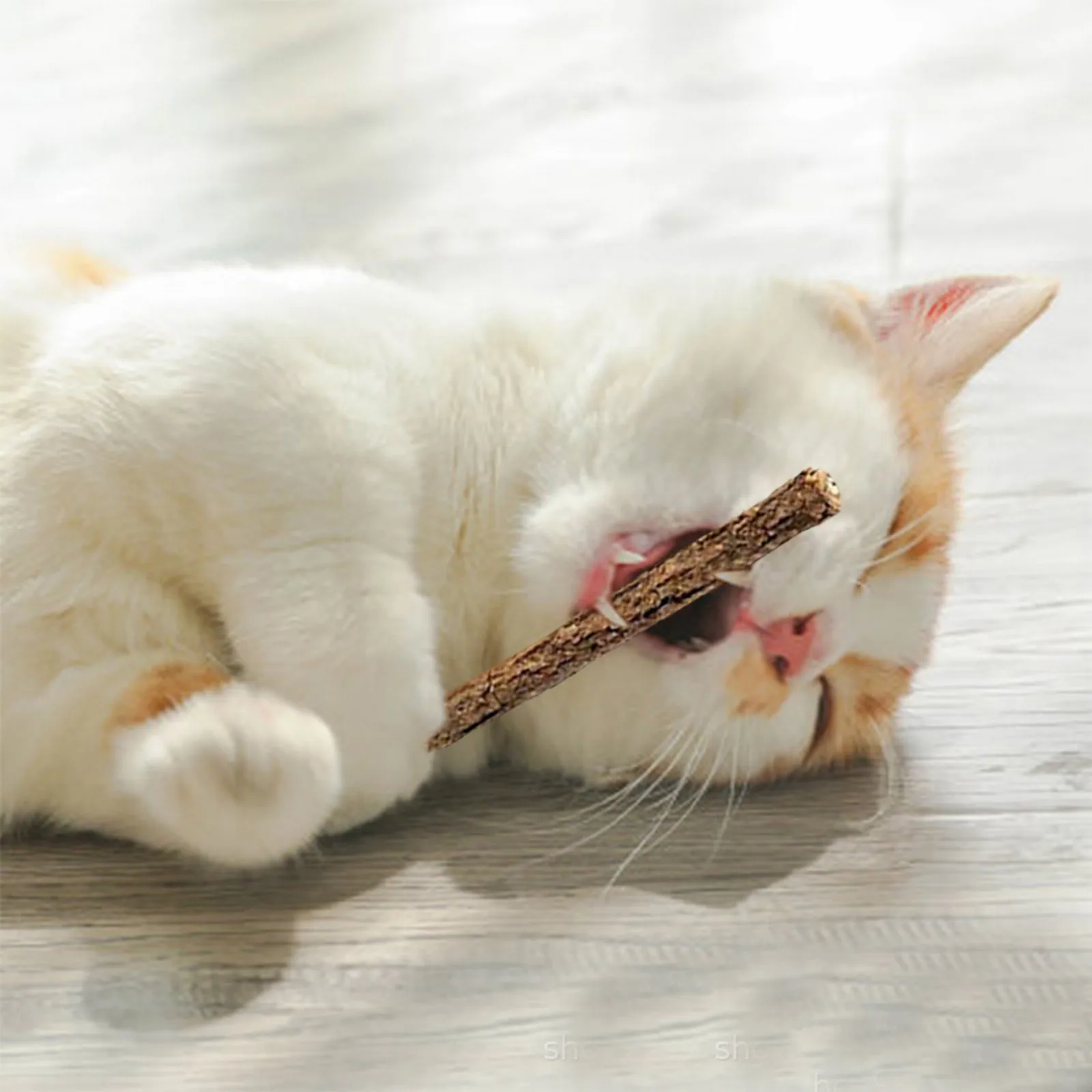 

Five-color Catnip Plush Toy 10pcs Catnip Wooden Stick Pet Toy Pet Interactive Toys Training Supplies Jouet D'herbe Chat#H