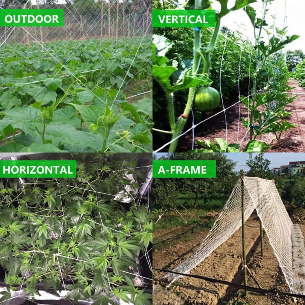 

Plant Trellis Climbing Netting Polyester Vegetables Vine Plant Support Vine Climbing Hydroponics Gardening Supplies