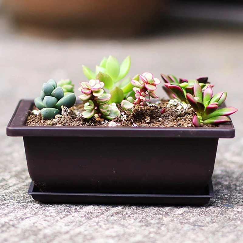 

6-Piece Bonsai Pots-Classic Deep Wet Tray with Built-in Mesh-for Plants, Flowers, Herbs, Plastic Square Pots