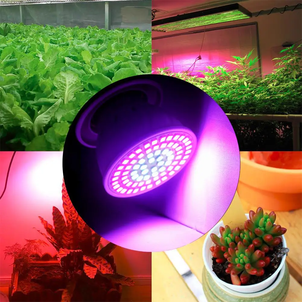 

TSLEEN 36 54 72 Led Grow Light Bulb 360 Flexible E27 Lamp Holder Clip for Plants Vegetable Growing Indoor Greenhouse Hydroponics
