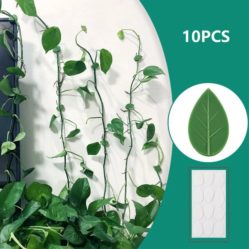

10 Pieces Of Green Dill Climbing Wall Fixing Clip Plant Fixing Device Clip Plant Self-adhesive Fastener Lashing Device