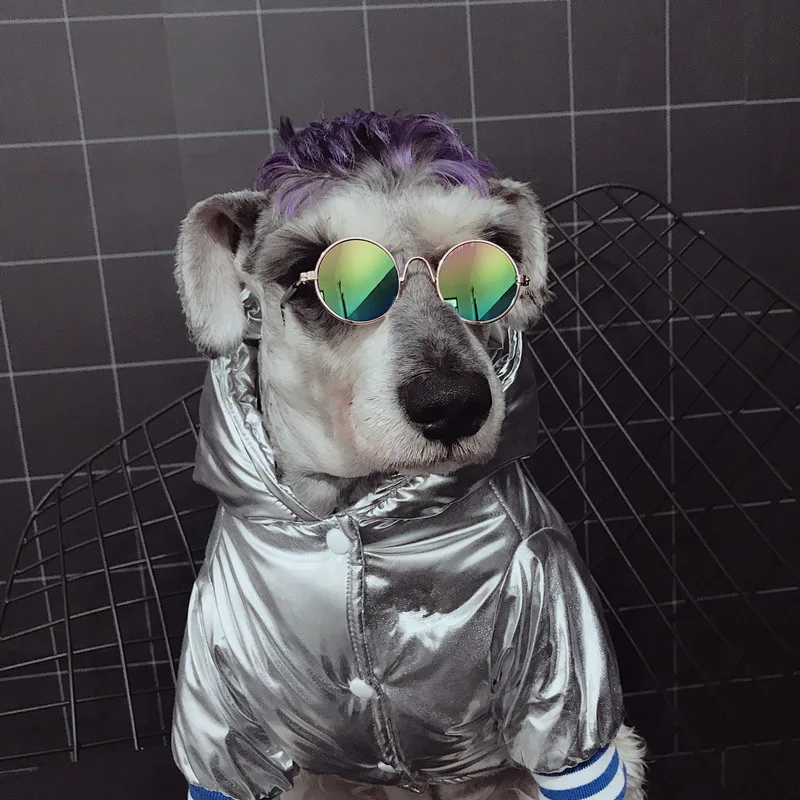 Модная брендовая одежда для собак зимняя теплая куртка парка домашних животных