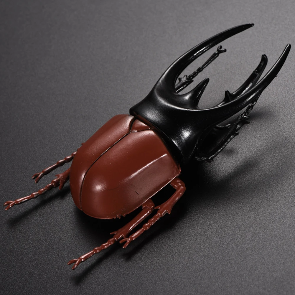 

6Pcs Simulation Beetle Insect Model Kids Adult Toy Halloween Prank Trick Props Plastic Non-Toxic PVC Insect Toy Halloween Props