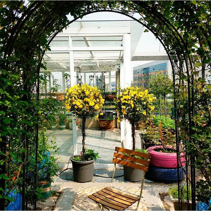 

Lollipop wrought iron ball windmill jasmine plant shape ball climbing frame flower stand rattan stand