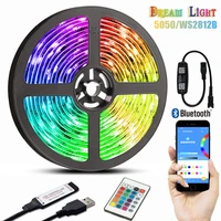 dreamcolor led strip lights bluetooth rgbic luces luminous for decoration living room flexible ribbon fita lamp ws2812b diode