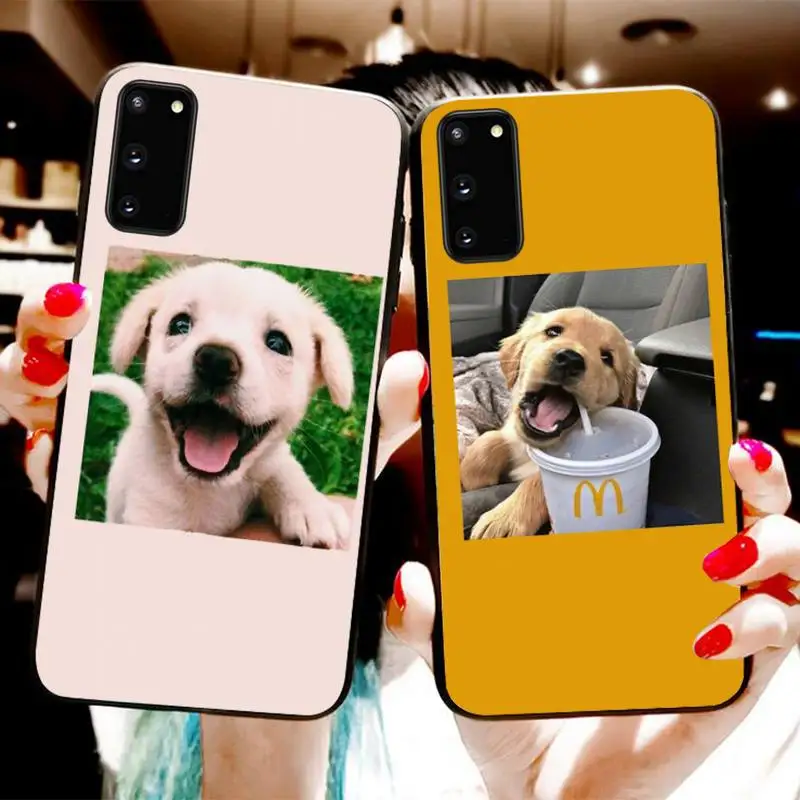 

Cute Animal Pet Dog Phone Case For Samsung S20 S10 S8 S9 Plus S7 S6 S5 Note10 Note9 S10lite