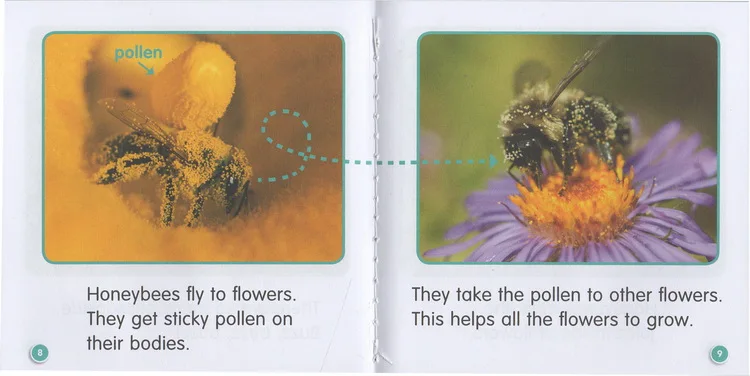 

16Pcs Science Books Scholastic Guided Science Readers EF