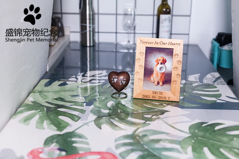 Питомец животное собака кошка keepsake памятные пепла урвает мой с кристаллом в форме сердца ожерелье для кремации ювелирные изделия