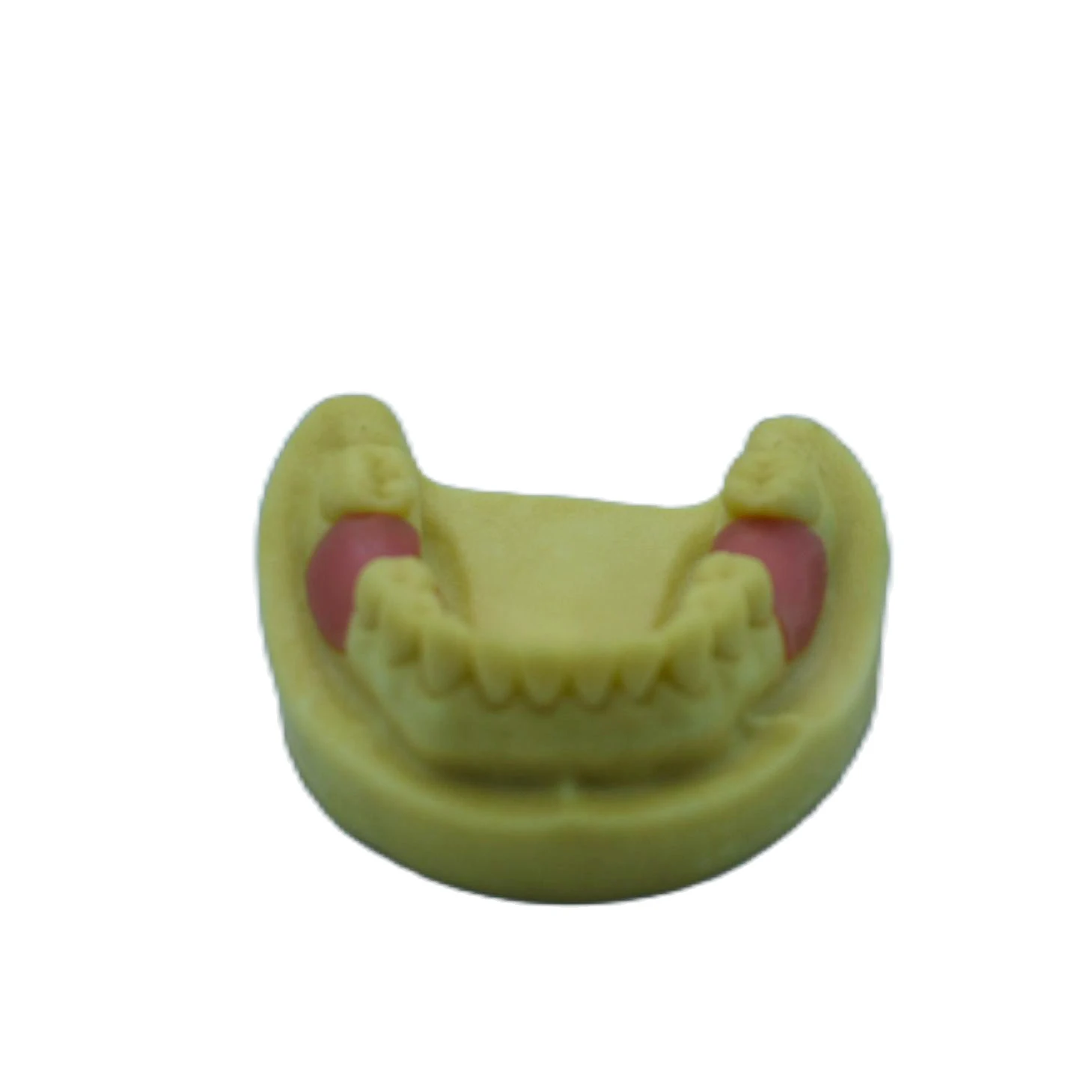 1 шт. Стоматологическая модель для имплантации зубов | Красота и здоровье