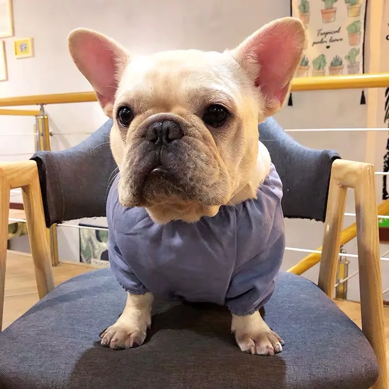 Летняя футболка с французским бульдогом жилет японская школьная форма милый