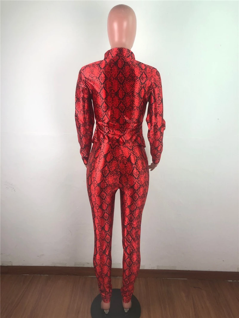 

RStylish Casual Sets For Women 2020 Fashion Matte Snake Print Long Sleeve Sexy 2 Pcs Set Outfits High Quality Two Piece Suits