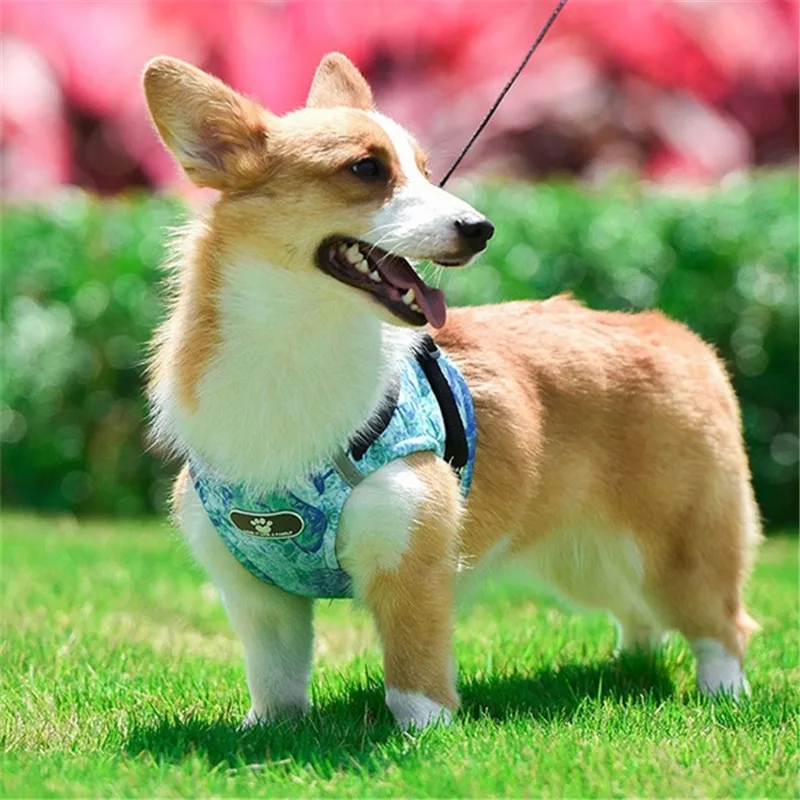 Pet Safety Leash Reflective Puppy Traction Rope Harness Dog Soft Breathable Vest Chest pet Supplies | Дом и сад