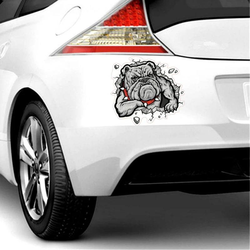 

Creative DOG ON BOARD Funny Car Styling Car-Stickers Cover Scratches for Bumper Bodywork Windshield kk15*14cm