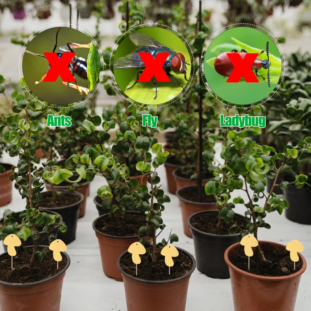 

1Set Mushroom Shaped Flies Trap Board Orchard Double-sided Sticky Board Yellow