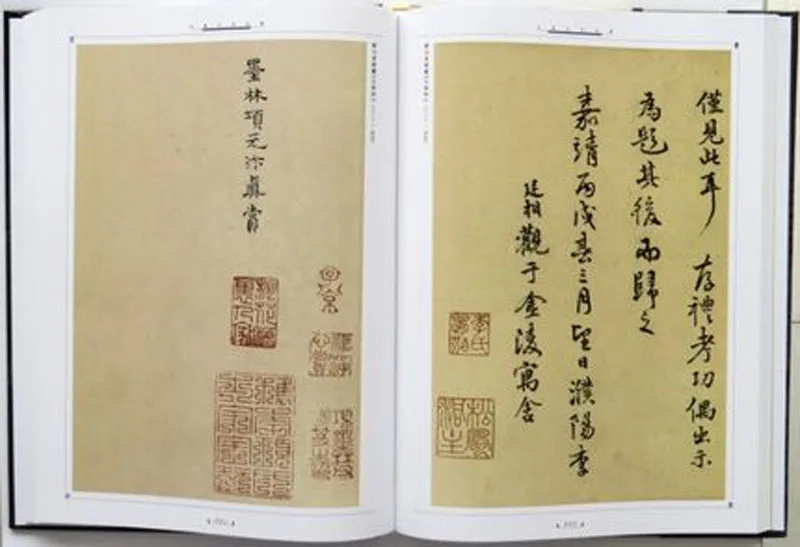 2 шт./компл. набор кистей для письма с китайскими чернилами Wang Xizhi книга