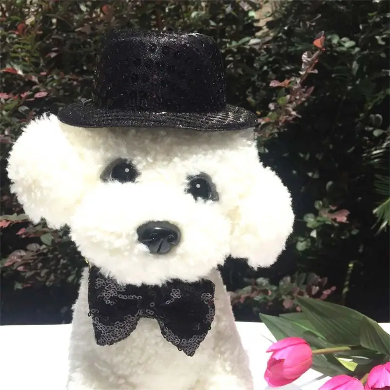 Маленькая черная цилиндрическая шляпа с блестками и галстуком бабочкой для