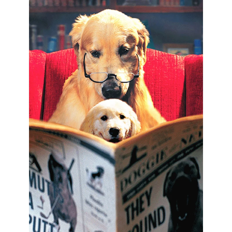 5D алмазная картина полная круглая собака читается изображение страз вышивка