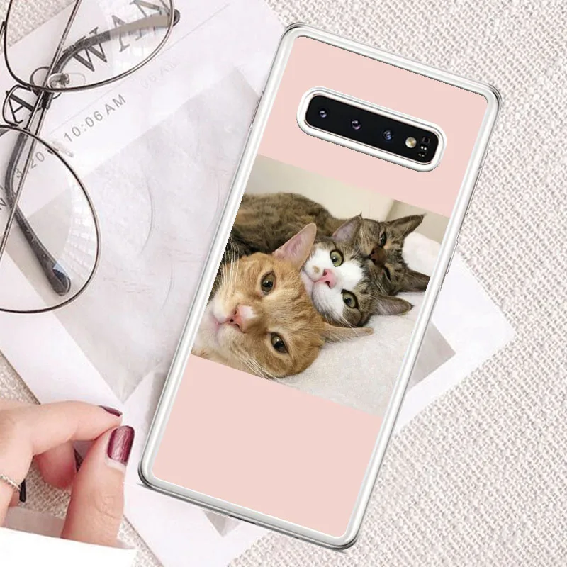 

Super cute cats dogs photos Silicone phone case clear For SamsunS20Ultra A71 A10 A30 A50 A70 2019 A6 A72018