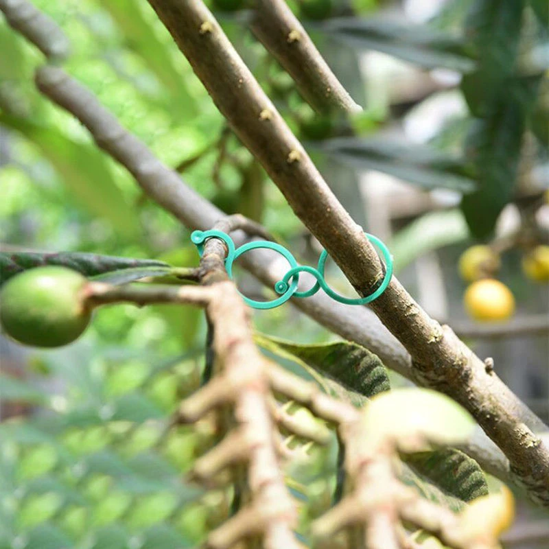 

100/50/20 PCS Plant Support Clips Flower Orchid Stem Clips for Vine Suppor Plant Grafting Stakes Connector Clip Garden Clip