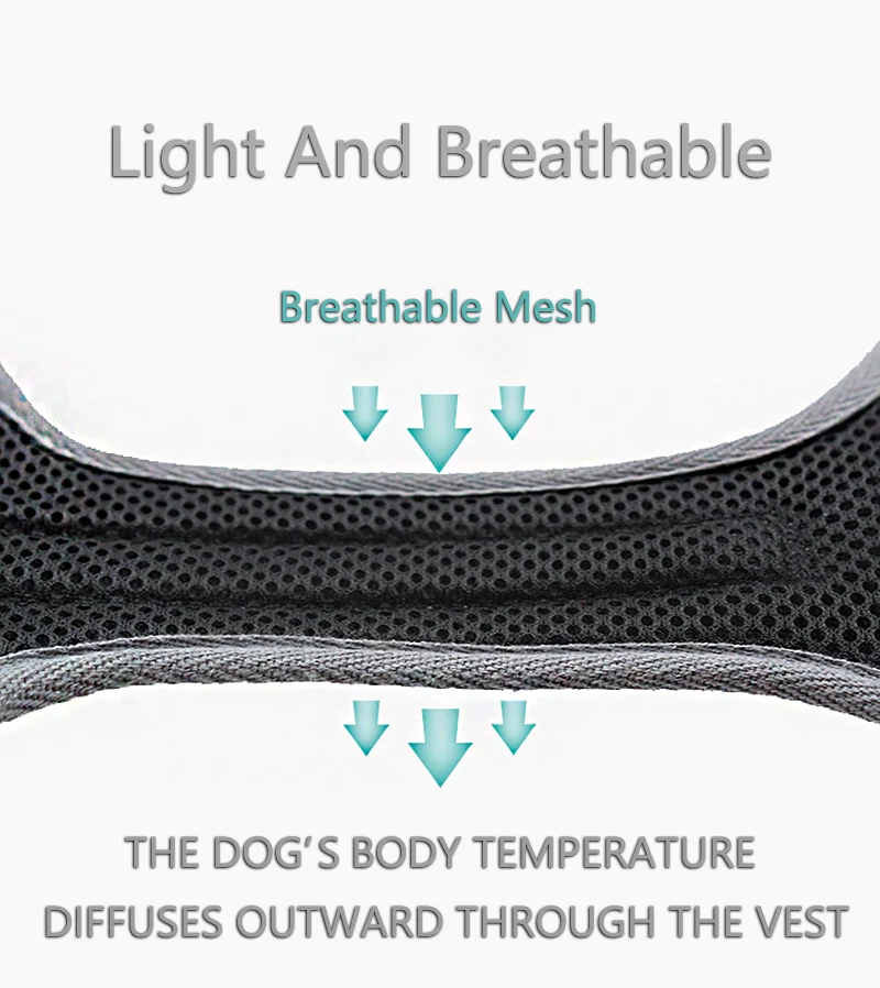 Светоотражающие не тянуть собаки жгут Безопасность обучение панель в форме