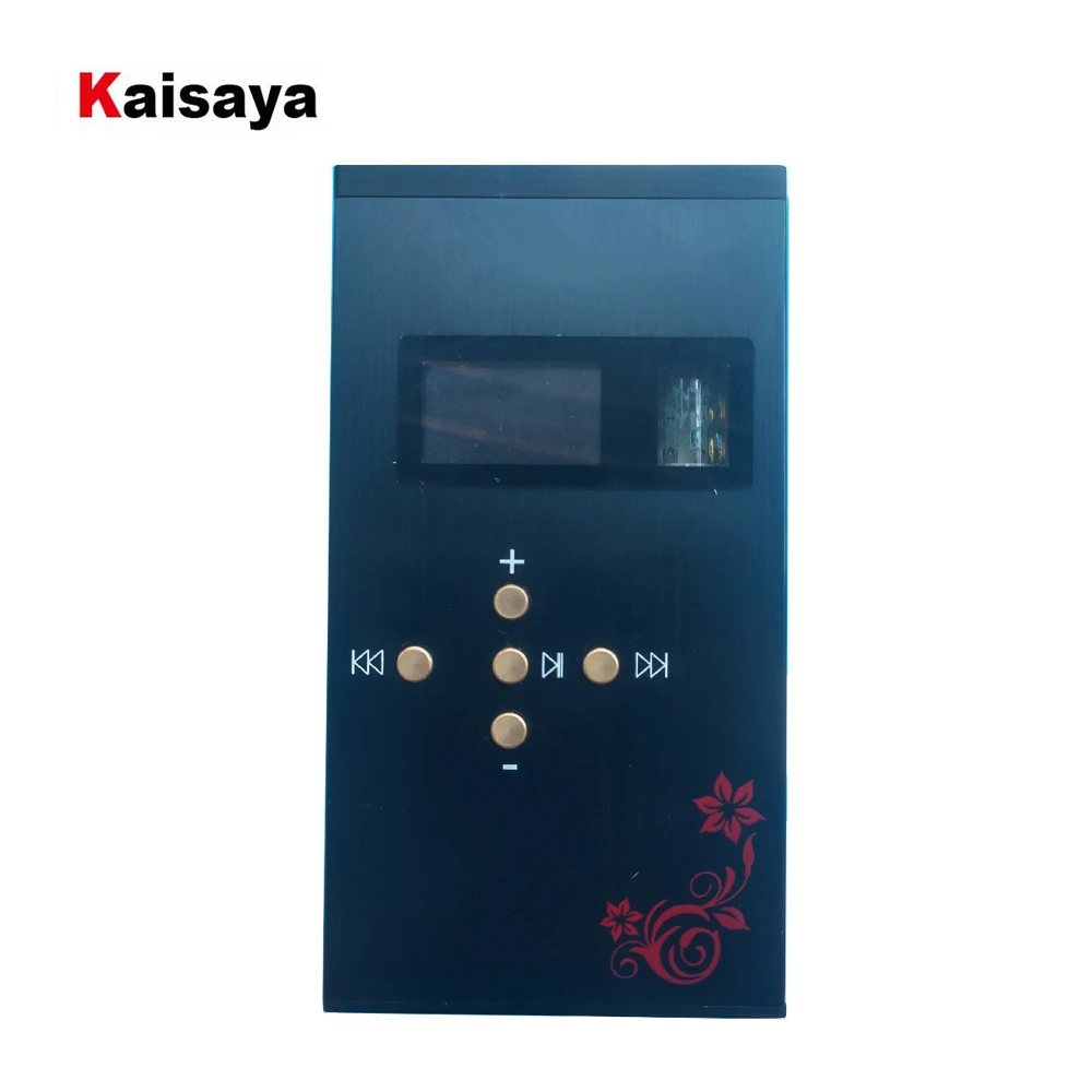 AK4493 /4490 USB DAC OTG портативный 6021 трубка желчи усилитель наушников 192K 32bit DSD lossless плеер