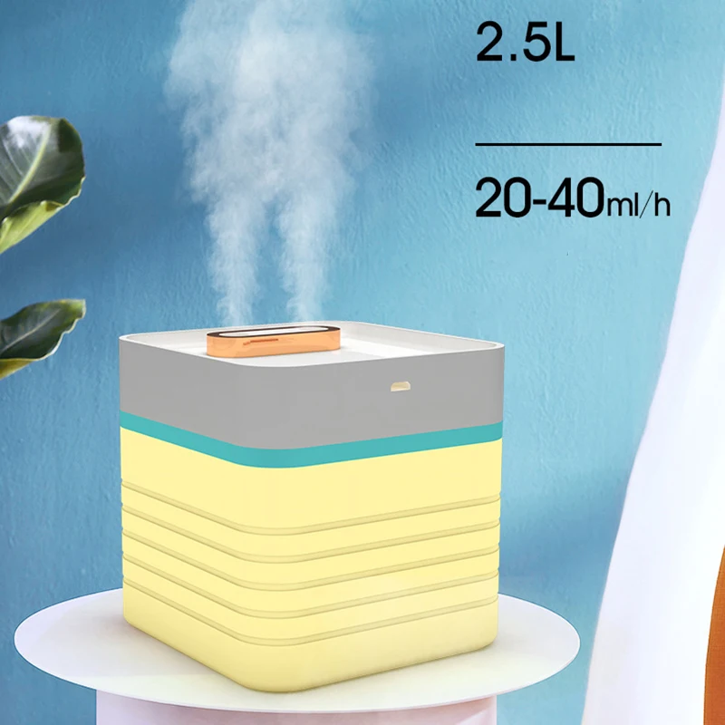 

Large Capacity Air Diffuser 2.5L Humidifier Double Mist Outlet Aroma Purifier USB Water Mist Maker with Color Light for Home