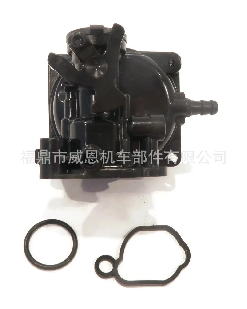 

Carburetor 799583 For Briggs & Stratton Motorcycle General