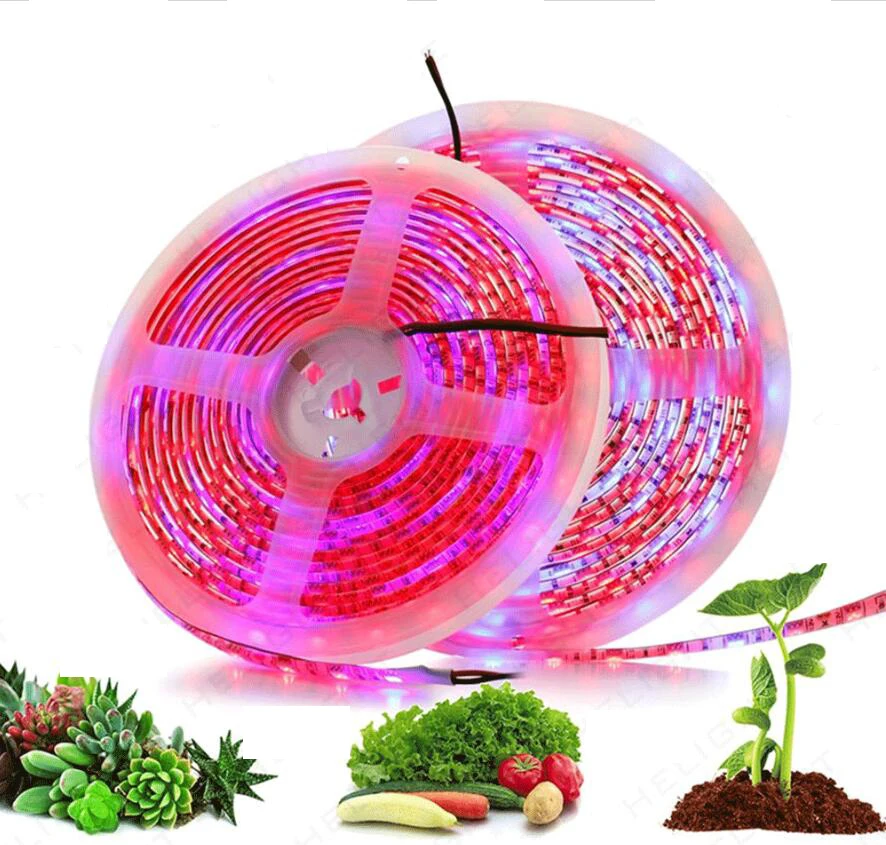 Светодиодная лента для выращивания растений 100 м светодиодная фитолампа полного