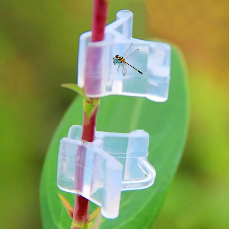 100Pcs-pack садовая Цветочная растительная лоза саженцы привитые ветви зажим