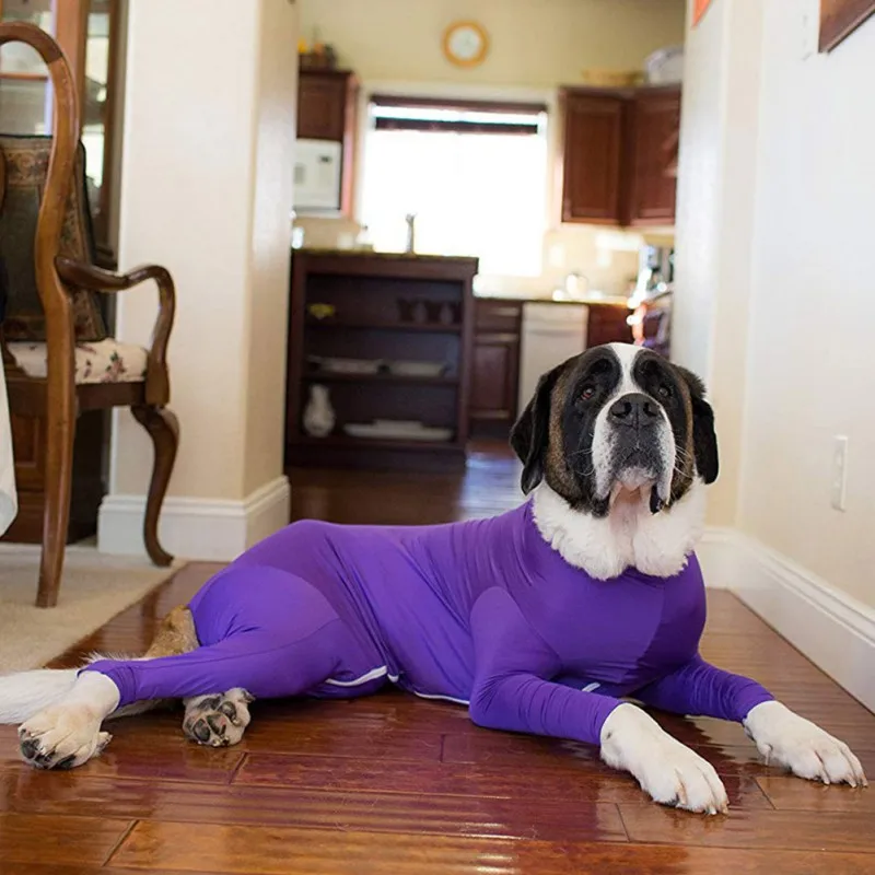 Post Operative Protection Long Sleeves Bodysuit Jumpsuit For Dogs Collar Alternative For Recovery