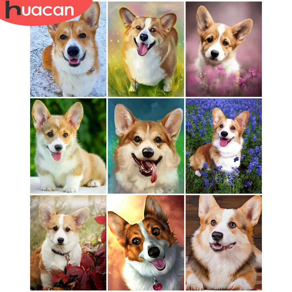 

HUACAN 5D DIY Picture By Numbers Dog Wall Art Unique Gift On Canvas Acrylic Painting By Numbers Animal Children's Room Decor