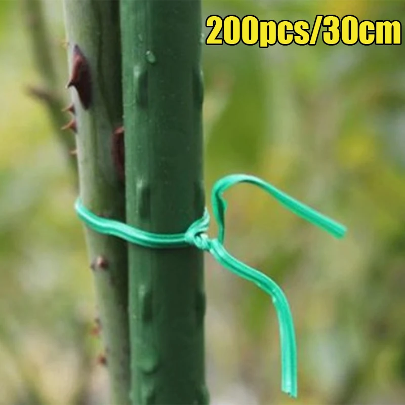 

200pcs Plastic Green Grape Rattan Gardening Vine Climbing Plants Ties Cable 30cm Tie Lines Garden Training Wire Holding Branch