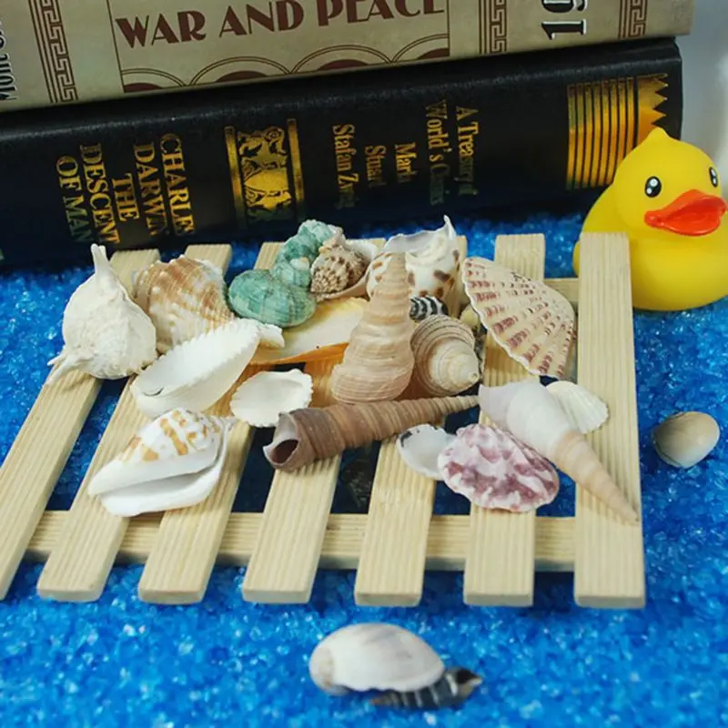 120 г натуральный турбо морской ракушки раковины домик краб Hermit аквариум