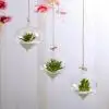 2021 подвесной стеклянный цветочный плантатор, контейнер для террариума, домашний сад, прозрачное настенное украшение