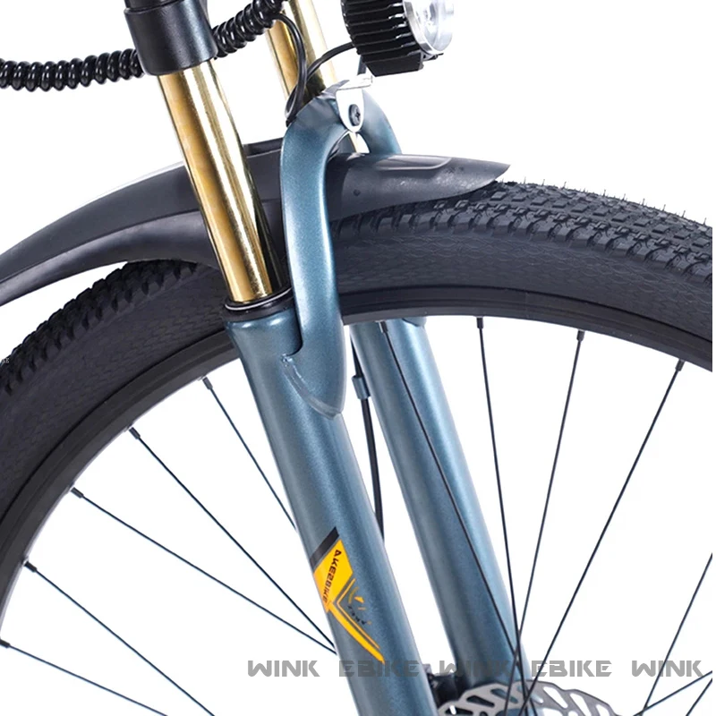 

29inch Electric Bicycle 1000W Power 48V 13Ah Lithium Battery Adult E-bike Assisted Variable 21 Speed Men Electric Mountain Bike