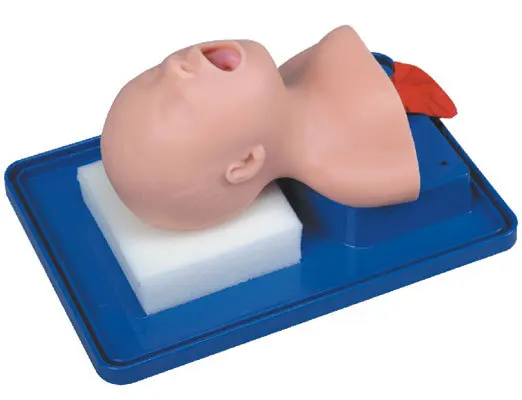 

Tracheal intubation training model for infants and neonates