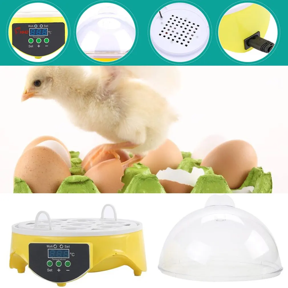 

7 Eggs Capacity Chicken Eggs Bird Incubator Egg Rack Tray Half Automatic Intelligent Control Quail Parrot Incubation Tool