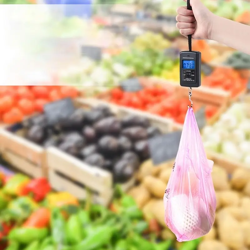 

1Pcs Portable Mini Luggage Hook Scale Digital Hanging Scale Electronic Scale Weight Balance LCD Backlight 100g/40kg