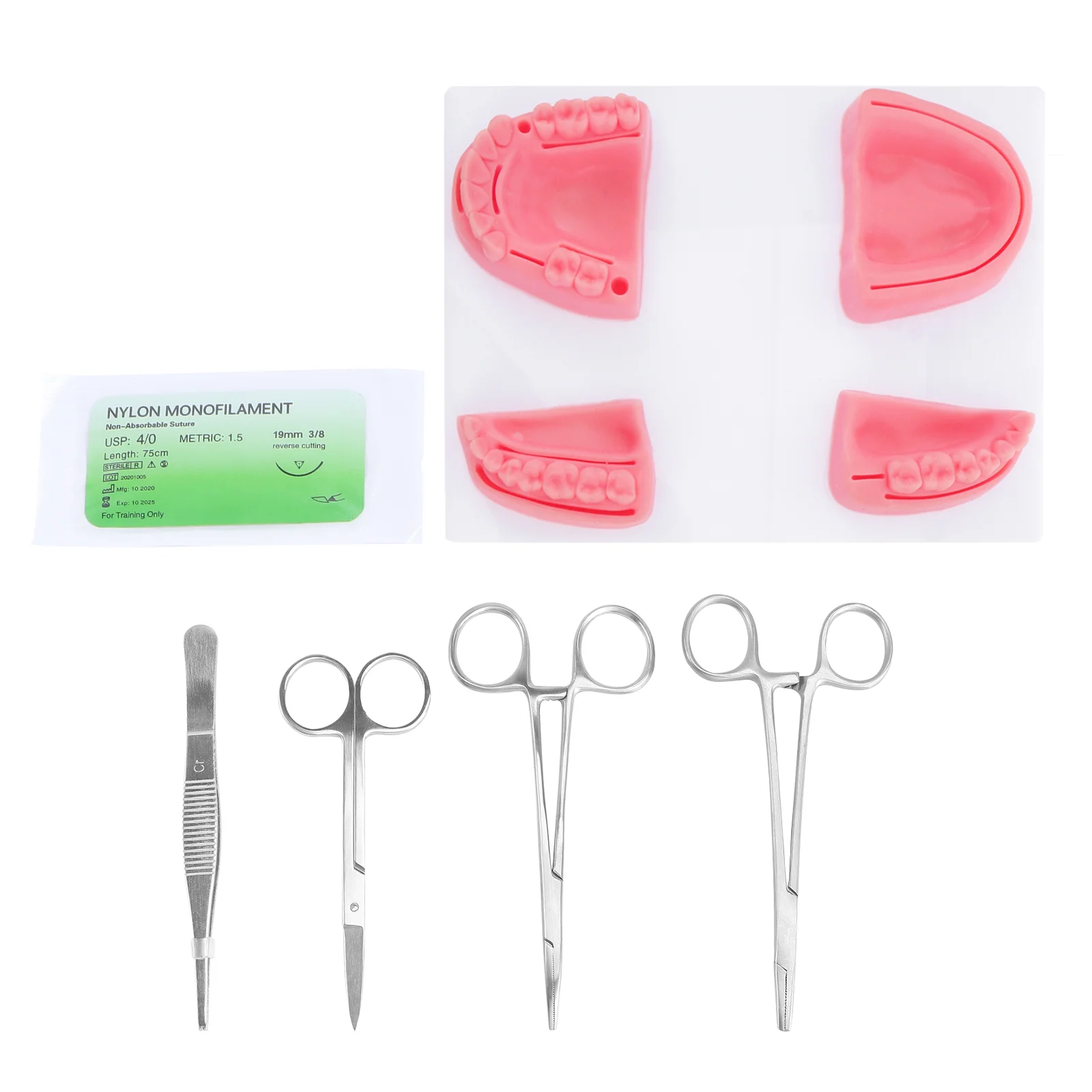 

1 Set of Simulated Oral Suture Model Gum Suture Teaching Training Tools