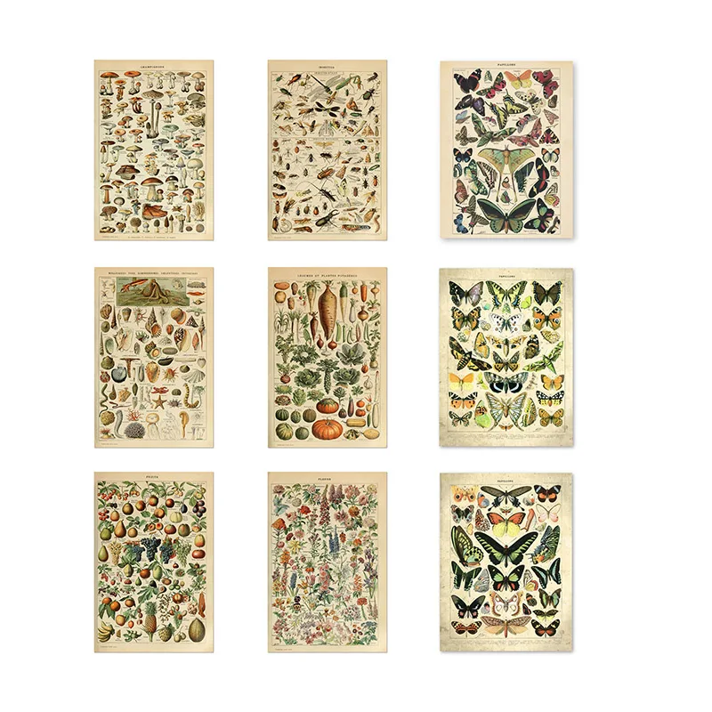 

Vintage Vegetable Fruit Plant Fish Insect Tree Poster Canvas Painting Wall Art Print Science Poster Kitchen Decoration