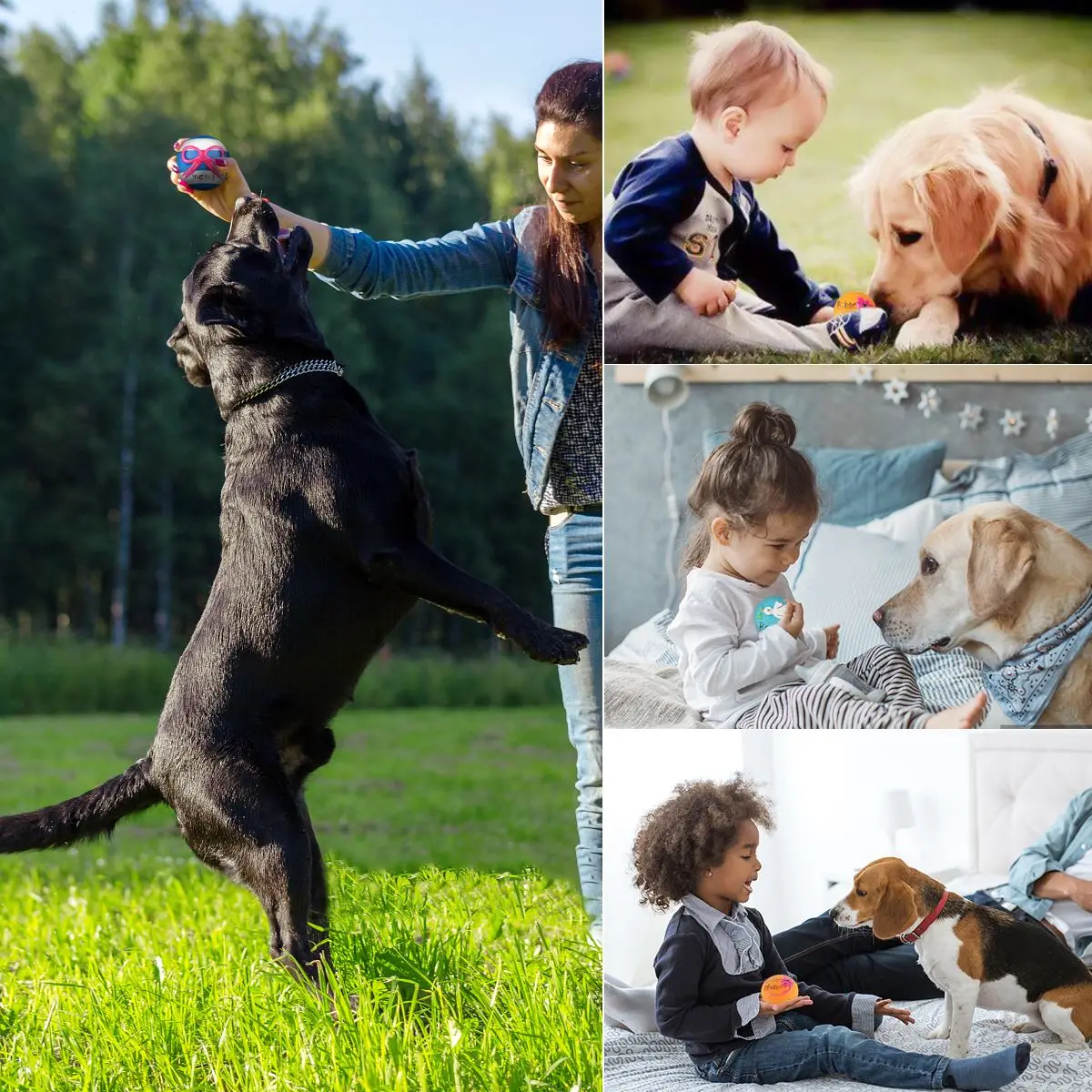 

Dog Toys Latex Animal Sound Squeaky Toys For Dog Puppy Anti Squeeze Bite Resistant Dog Molars Toy Pet Products Dog Accessories