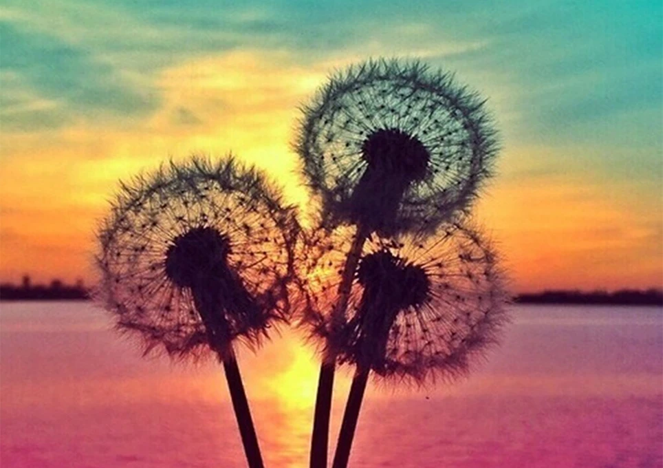 

5D DIY Diamond Painting Dandelion Landscape Kit Round Diamond Embroidery Landscape Mosaic Art Picture Rhinestone Decoration Gift