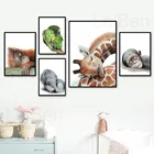 Фотография Hd, животные, жираф, слон, попугай, Лев, табличка, искусство детской стены, украшение