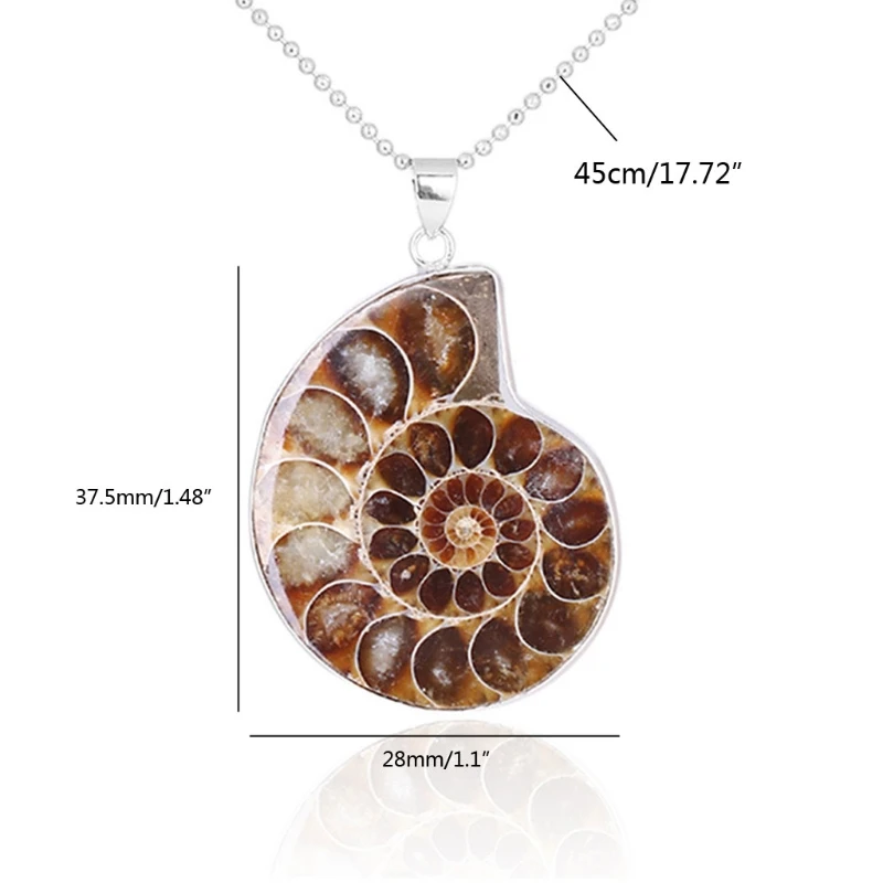 

Natural Ammonite Fossils Pendant Jewelry Silver Tone Ammonite Fossils Stone Wrapped Pendant Necklace Fashion Jewelry