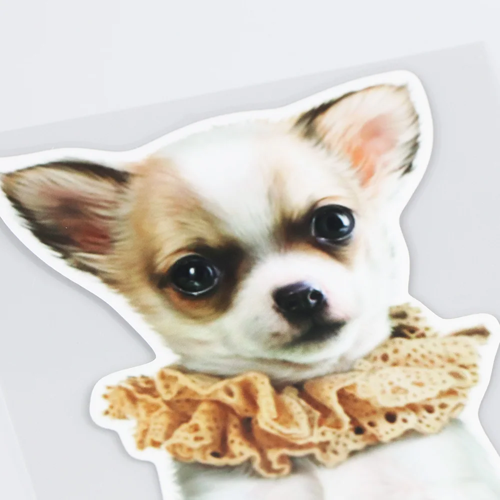 

YOJA 14.420.1CM Cute Chihuahua Animal Car Sticker Scratch Occlusion Funny Cartoon Decals 19B-0059