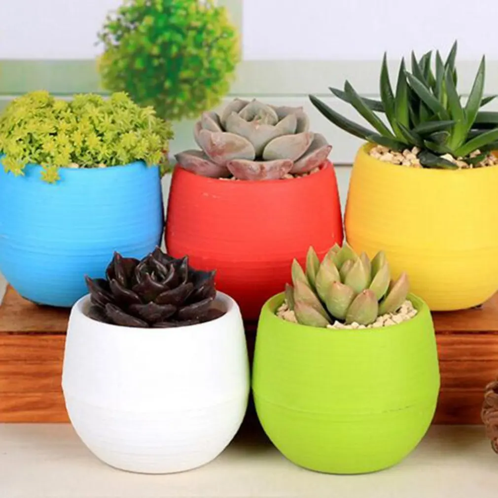 Красочные мини горшечные растения офисное украшение Горшки для растений и