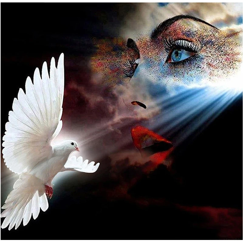 Алмазная живопись голубь глаза и мир 5d сделай сам вышивка крестиком алмазная